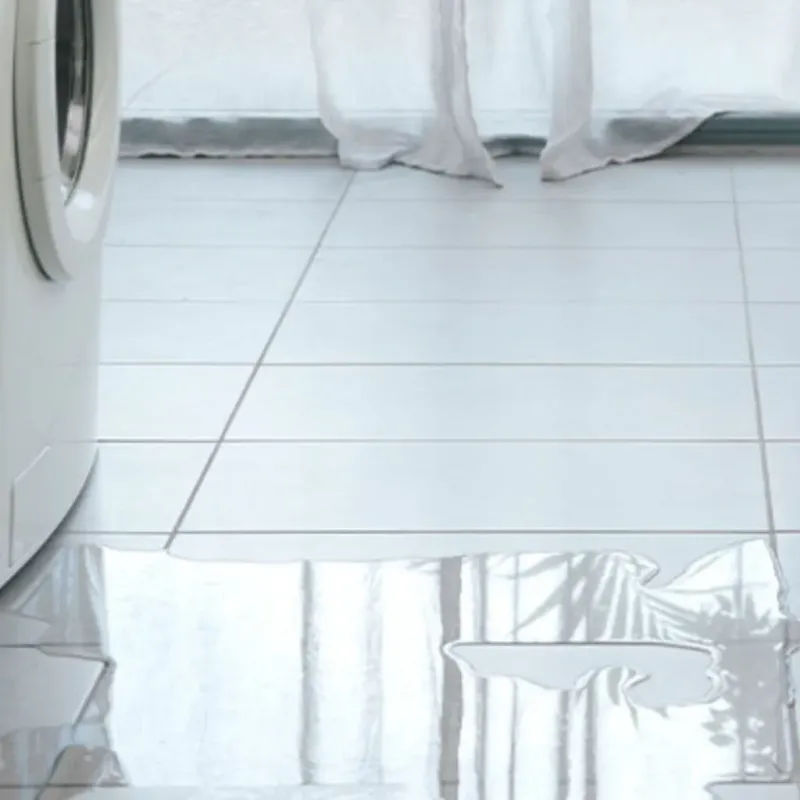 Appliance Leak Cleanup in Darrington, WA