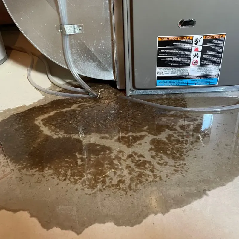 Pipe Burst and Leak Restoration in Darrington, WA